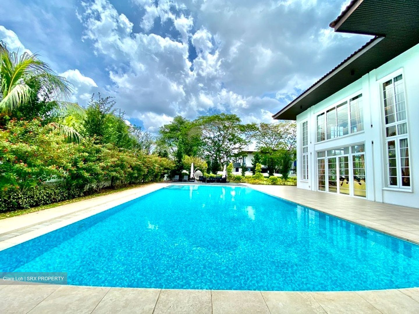 Tanglin Hill (D10), Detached #477763551